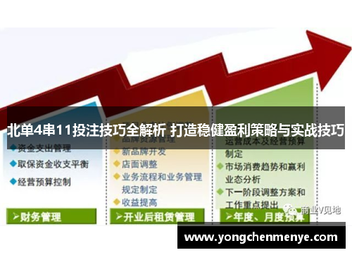 北单4串11投注技巧全解析 打造稳健盈利策略与实战技巧